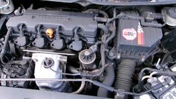 Pacific Auto Auction 2024.10.15.100_0015.JPG