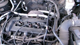 Pacific Auto Auction 2024.10.15.100_0037.JPG