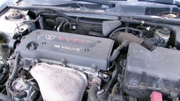 Pacific Auto Auction 2024.10.15.100_0104.JPG