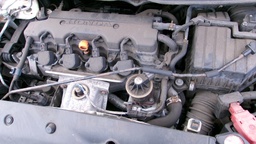 Pacific Auto Auction 2024.10.15.100_0137.JPG