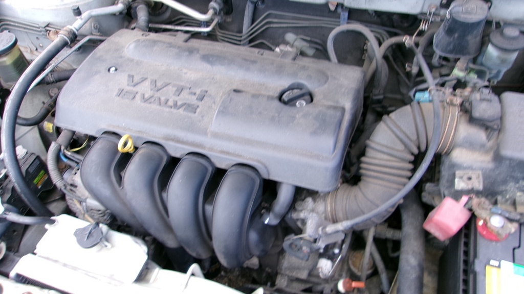 Pacific Auto Auction 2024.10.15.100_0160.JPG