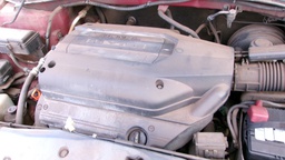 Pacific Auto Auction 2024.10.15.100_0193.JPG