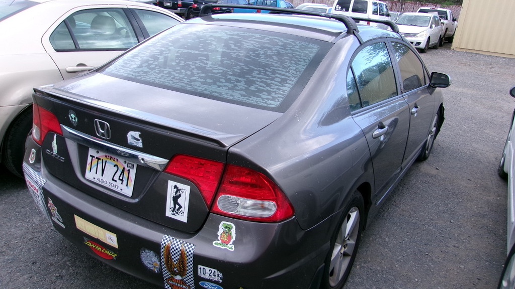 Pacific Auto Auction 2024.10.15.100_0396.JPG