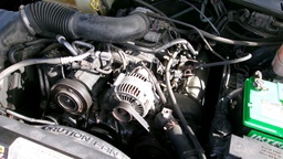 Pacific Auto Auction 2024.10.15.100_0561.JPG