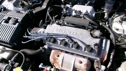 Pacific Auto Auction 2024.10.22.100_0079.JPG
