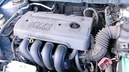 Pacific Auto Auction 2024.10.22.100_0164.JPG