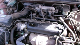 Pacific Auto Auction 2024.11.05.100_0174.JPG