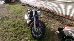 Pacific Auto Auction 2024.11.12.100_0162.JPG