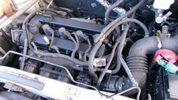 Pacific Auto Auction 2024.11.12.100_0299.JPG