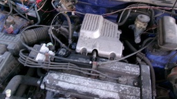 Pacific Auto Auction 2024.11.12.100_0397.JPG