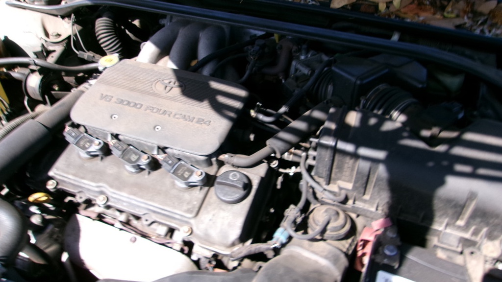 Pacific Auto Auction 2024.11.19.100_0013.JPG