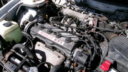 Pacific Auto Auction 2024.11.19.100_0068.JPG