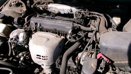Pacific Auto Auction 2024.11.19.100_0103.JPG