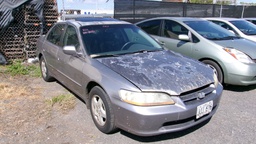 Pacific Auto Auction 2024.11.19.100_0149.JPG