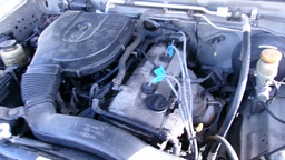 Pacific Auto Auction 2024.11.19.100_0179.JPG