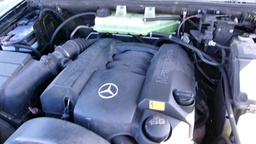 Pacific Auto Auction 2024.11.19.100_0212.JPG