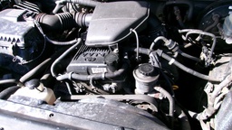 Pacific Auto Auction 2024.11.19.100_0289.JPG