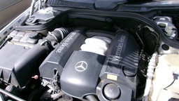 Pacific Auto Auction 2024.11.26.100_0140.JPG