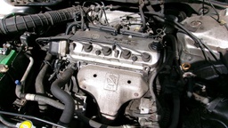 Pacific Auto Auction 2024.12.03.100_0013.JPG