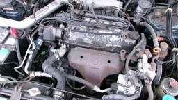 Pacific Auto Auction 2024.12.03.100_0191.JPG