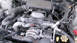 Pacific Auto Auction 2024.12.03.100_0322.JPG