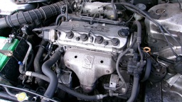 Pacific Auto Auction 2024.12.17.100_0013.JPG