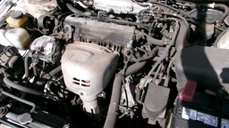 Pacific Auto Auction 2024.12.17.100_0035.JPG