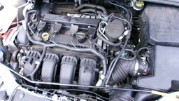 Pacific Auto Auction 2024.12.17.100_0055.JPG