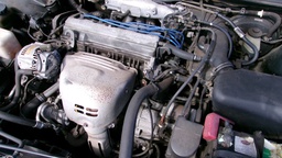 Pacific Auto Auction 2024.12.17.100_0089.JPG