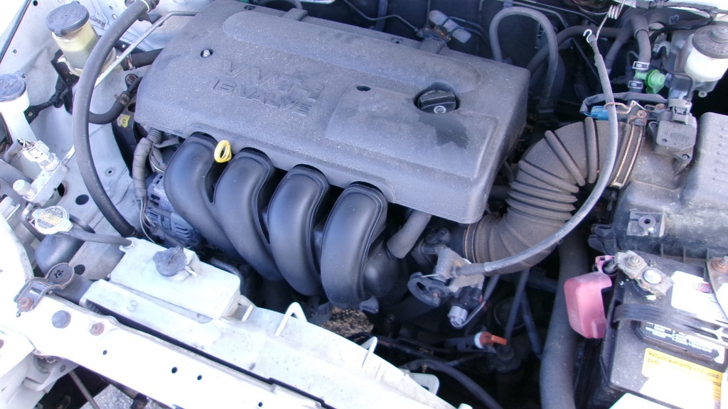 Pacific Auto Auction 2024.12.17.100_0174.JPG