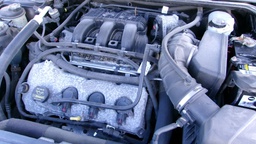 Pacific Auto Auction 2024.12.17.100_0196.JPG