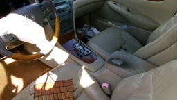 Pacific Auto Auction 2024.12.17.100_0214.JPG