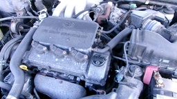 Pacific Auto Auction 2024.12.17.100_0240.JPG