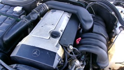 Pacific Auto Auction 2024.12.17.100_0251.JPG