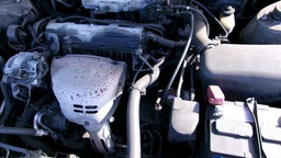 Pacific Auto Auction 2024.12.17.100_0424.JPG
