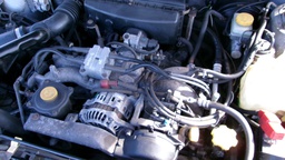 Pacific Auto Auction 2024.12.17.100_0435.JPG