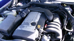 Pacific Auto Auction 2024.12.17.100_0530.JPG