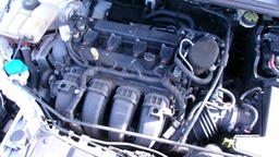 Pacific Auto Auction 2024.12.17.100_0563.JPG