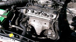 Pacific Auto Auction 2024.12.24.100_0012.JPG