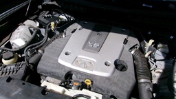 Pacific Auto Auction 2024.12.24.100_0063.JPG
