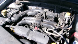 Pacific Auto Auction 2024.12.24.100_0116.JPG