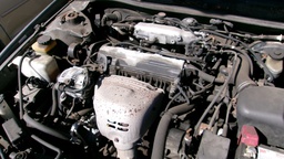 Pacific Auto Auction 2024.12.24.100_0127.JPG