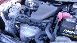 Pacific Auto Auction 2024.12.24.100_0191.JPG