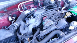 Pacific Auto Auction 2024.12.24.100_0416.JPG