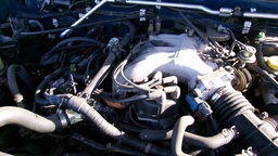 Pacific Auto Auction 2024.12.24.100_0629.JPG