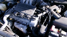 Pacific Auto Auction 2025.01.14.100_0162.JPG