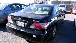 Pacific Auto Auction 2025.01.14.100_0203.JPG