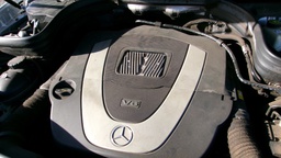 Pacific Auto Auction 2025.01.14.100_0396.JPG