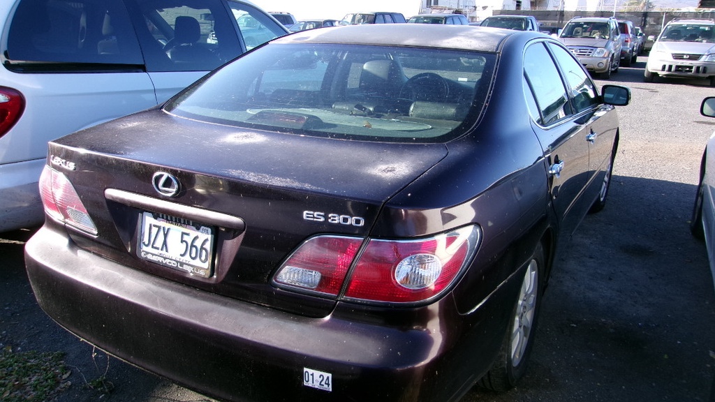 Pacific Auto Auction 2025.01.14.100_0442.JPG