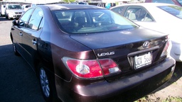 Pacific Auto Auction 2025.01.14.100_0443.JPG